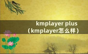 kmplayer plus（kmplayer怎么样）